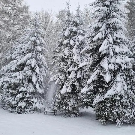An Der Skipiste 800 Meter Bis Moeppis Huette Βίντερμπεργκ