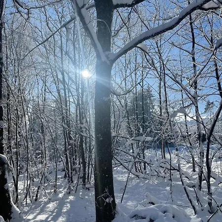 An Der Skipiste 100 Meterbis Moeppis Huette