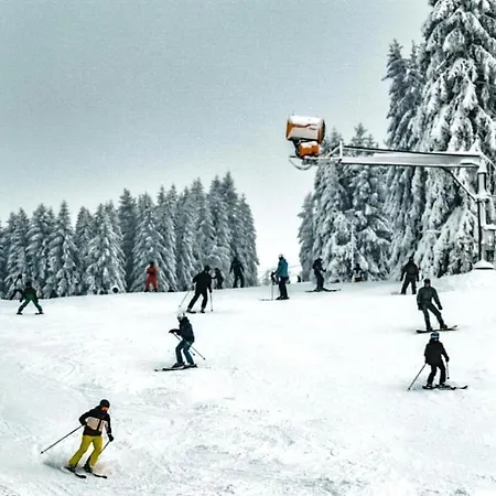 Lägenhet Am Skilift Möppis Hütte
