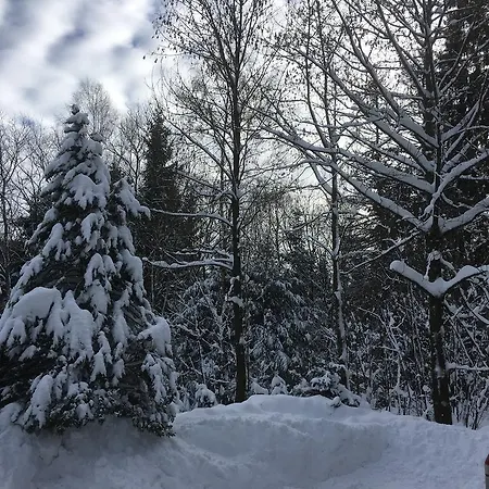 아파트 An Der Skipiste 100 Meterbis Moeppis Huette