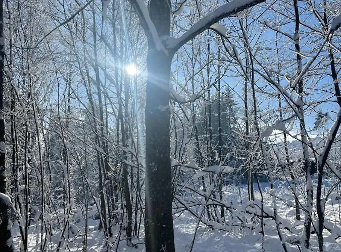 An Der Skipiste 100 Meterbis Moeppis Huette