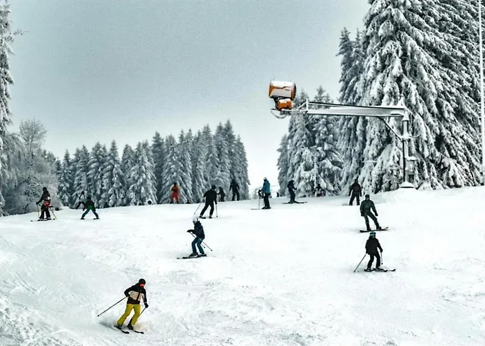 Appartamento An Der Skipiste 800 Meter Bis Moeppis Huette