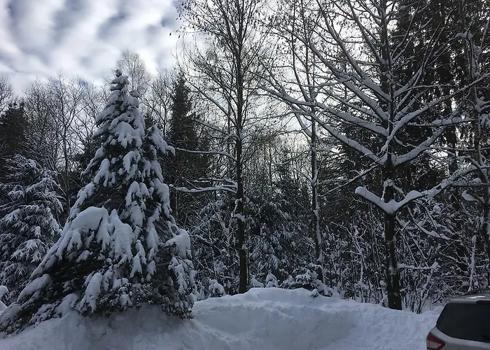 Διαμέρισμα An Der Skipiste 800 Meter Bis Moeppis Huette