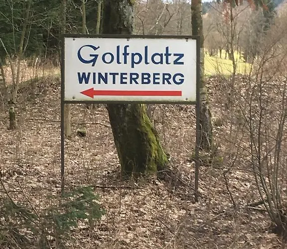 An Der Skipiste 800 Meter Bis Moeppis Huette Διαμέρισμα *